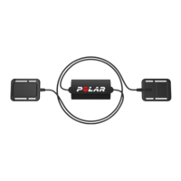 Polar Equine Electrode Base Set