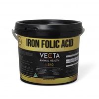 Vecta Iron Folic Acid