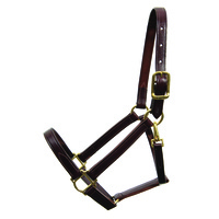 Walsh Leather Heritage Halter