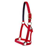 Walsh Victory Halter