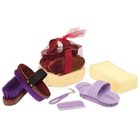 Gymkhana Economy Grooming Kit