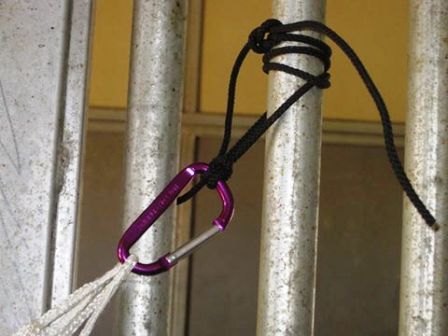 Freedom Feeder Slow Feeder Hay Nets
