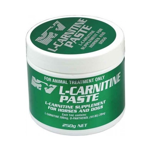 L Carnitine Paste