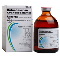 Bayer Coforta