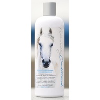 Bee Kind Naturally Conditioned Coconut Treatment