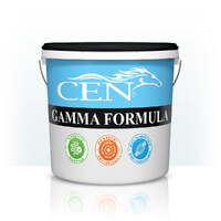 CEN gamma formula