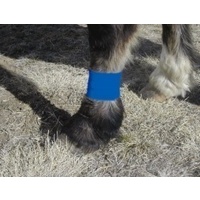 TAPEless 3" Lower Leg Dressing Holder