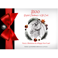 $100 Xmas Digital e-Gift Card [value: $100]