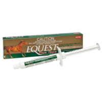 Equest Plus Tape