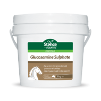 Stance Equitec Glucosamine Sulphate
