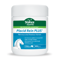 Stance Equitec Placid Rein Plus