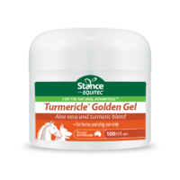 Stance Equitec Tumericle Golden Gel