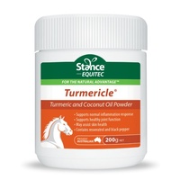 Stance Equitec Tumericle