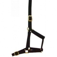 Canta Webbing Halter