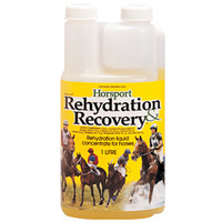 Horsport Rehydration & Recovery