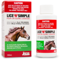 Lice 'n' Simple