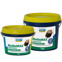 Kelato BiotinMax Concentrate