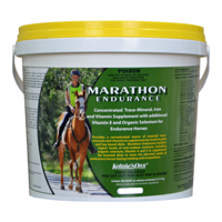 Kohnkes Own Marathon Endurance