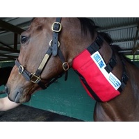 Chill Time Cooling Collar