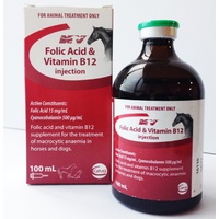 Folic Acid & Vitamin B12