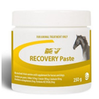 Recovery Paste
