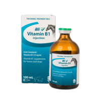 Vitamin B1 Injection