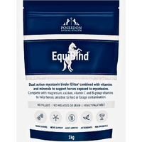 Poseidon EquiBind