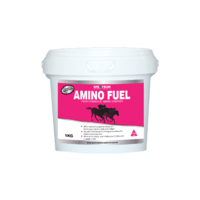 Spectrum Amino Fuel