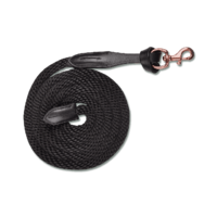 Rose Gold Lead Rope