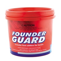 Founderguard