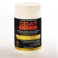 Coat Gold Canine