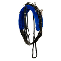 Walsh Int PRO 1500 Harness