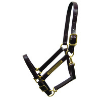 Walsh Leather Classic Halter