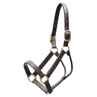 Walsh Leather Thoroughbred Halter