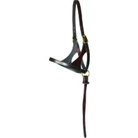 Walsh Leather Foal Halter