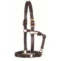 Walsh Leather Lexington Halter