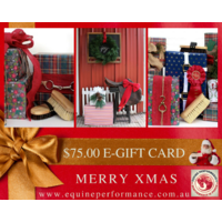 $75 XMAS E-GIFT CARD
