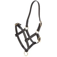 Zilco PN Foal Halter