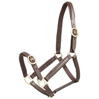 Aintree Leather Foal Halter