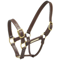 Aintree Leather Halter