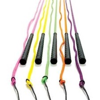 Aintree Neon Lunge Whip