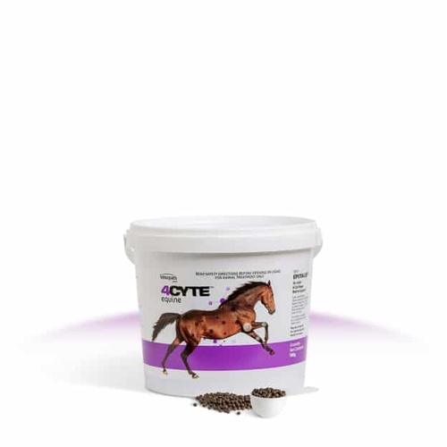 4cyte Equine Granules