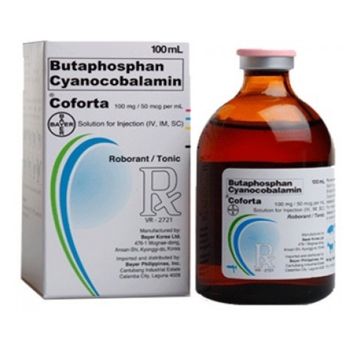 Bayer Coforta