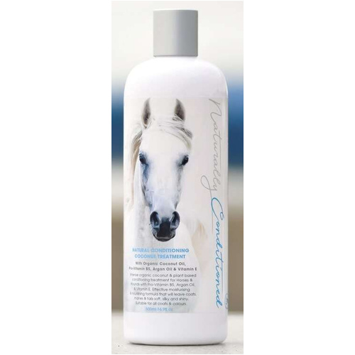 Bee Kind Naturally Conditioned Coconut Treatment