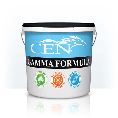 CEN gamma formula