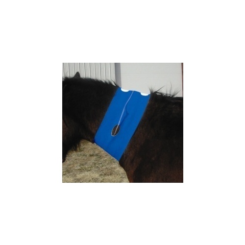 TAPEless Jugular Dressing Holder