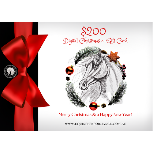 $200 Xmas Digital e-Gift Card
