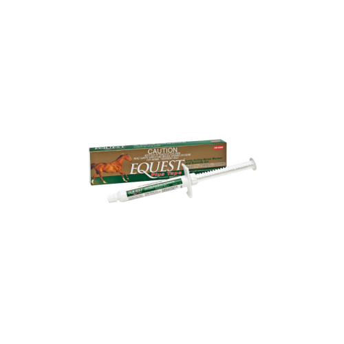 Equest Plus Tape