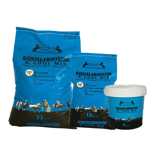 Equilibrium B1 Cool Mix [size: 5kg]