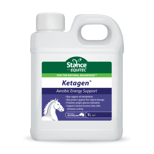 Stance Equitec Ketagen [size: 1L]